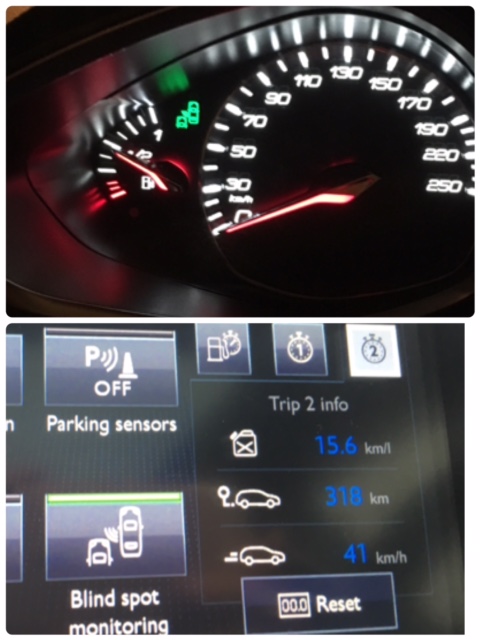 初めてのドライブ