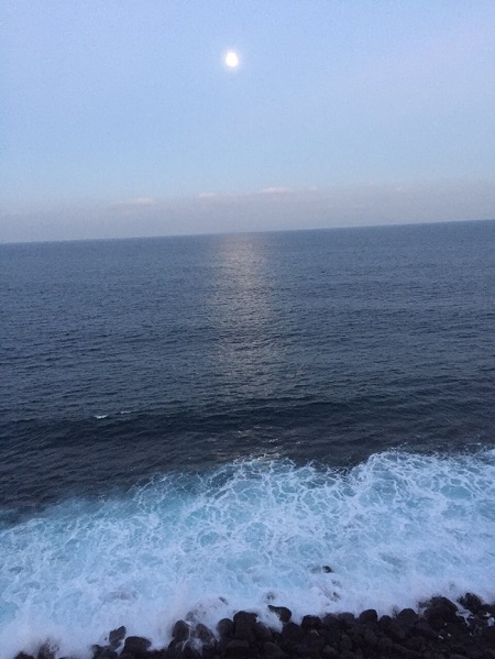 初めてのドライブ