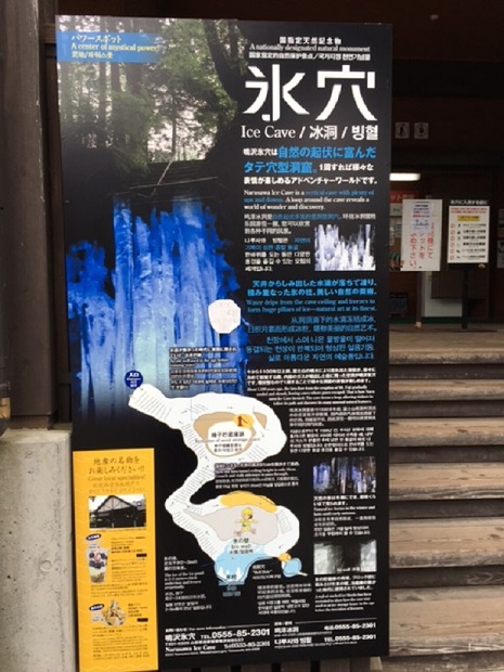 天然記念物を見に．．．