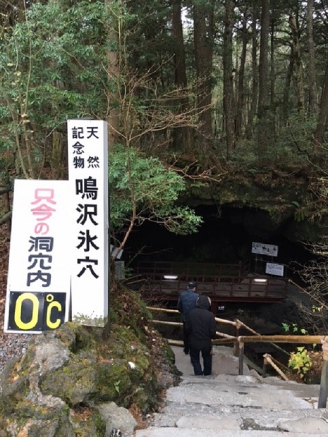 天然記念物を見に．．．