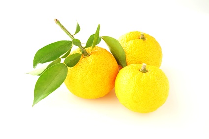 ゆず湯に入りましょう♪