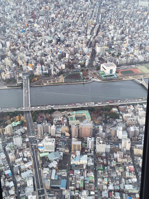 浅草観光