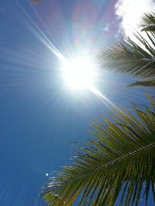 はじめて1週間！