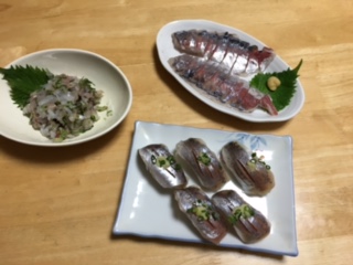 鯵釣り