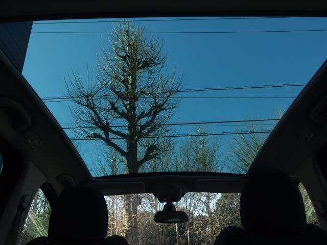 3月最後の特典！