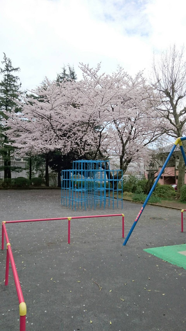 公園