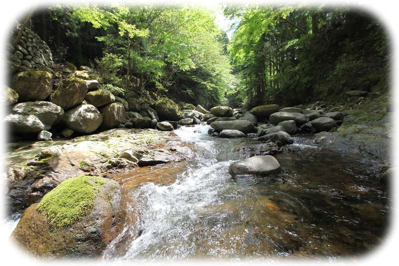 オススメＢＢＱスポット！！