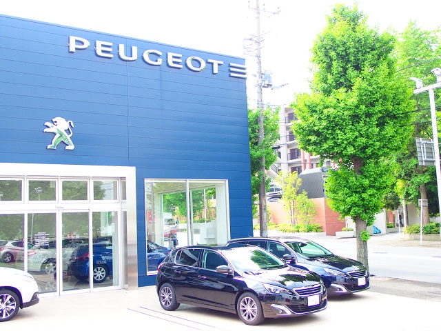 おはようございます！