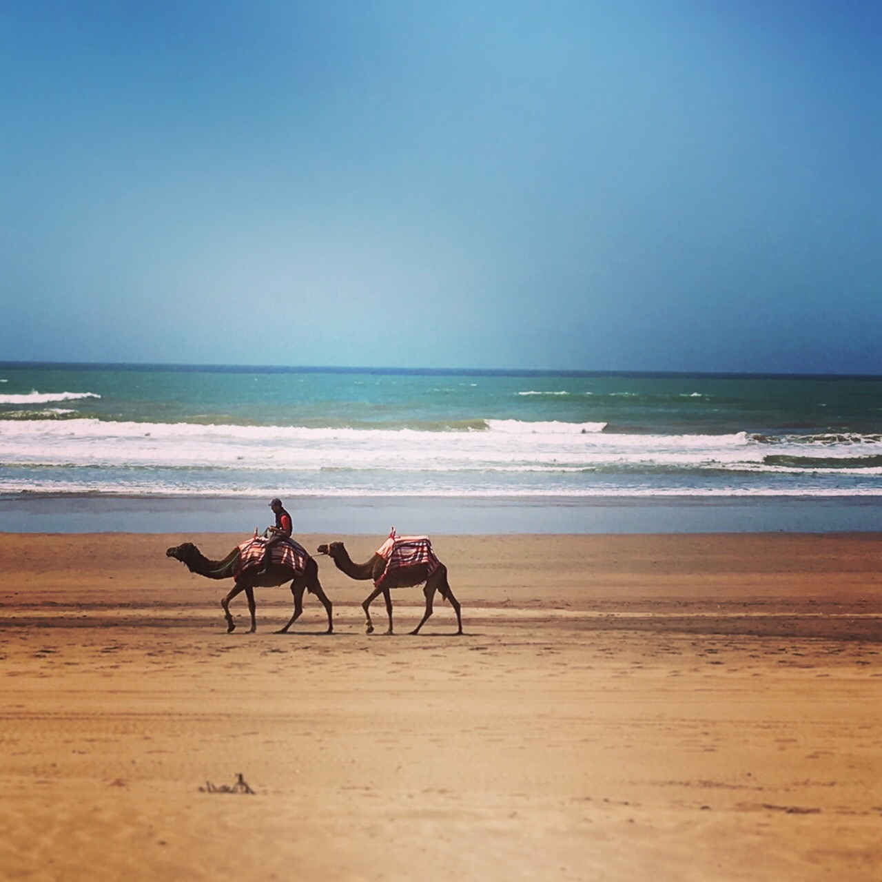 パリは全力でプジョー