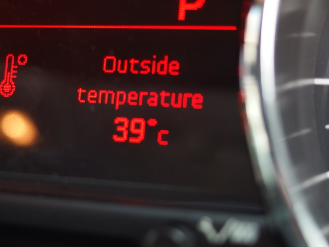 言いたくはございませんが。