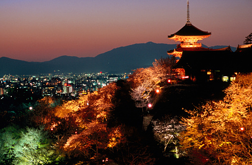 最近の行きたいところ♪