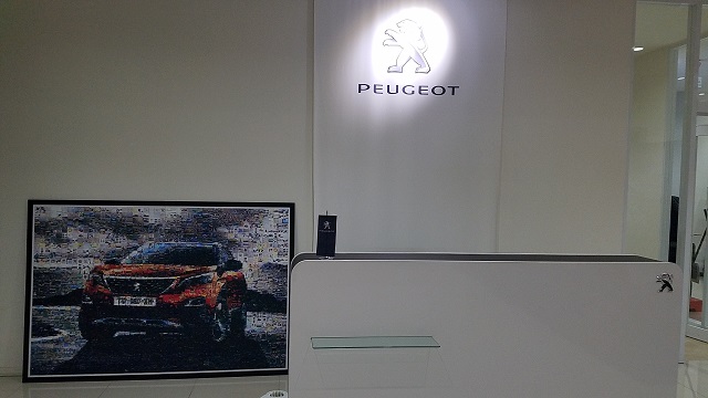 お披露目会～～✧