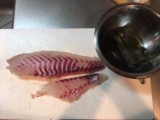 釣りに行きました。