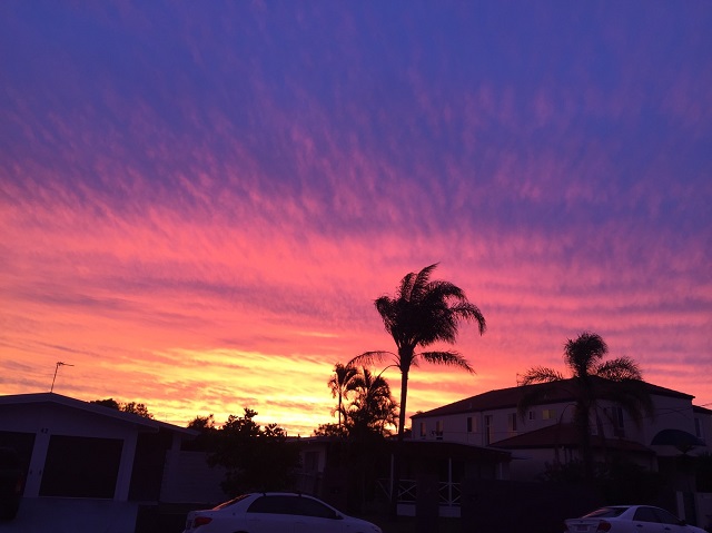 オーストラリアからのお便り＊