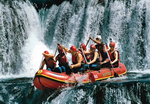 おすすめアクティビティ