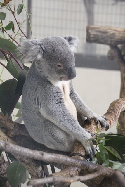 子供とお出かけ