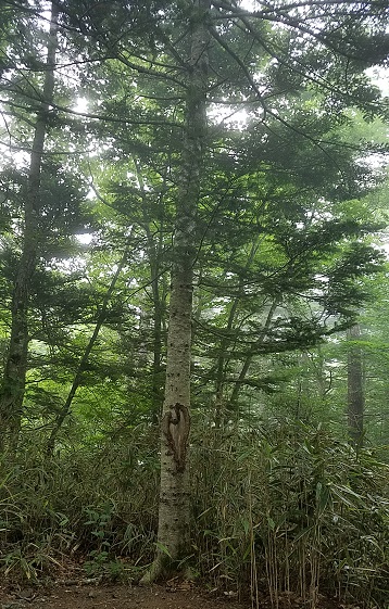 ￥日本一の金運パワースポット￥