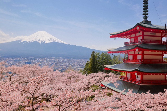 新倉山浅間公園＊！！