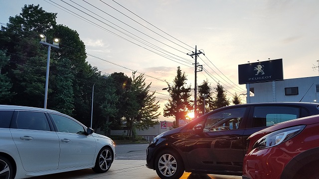 おはようございます！