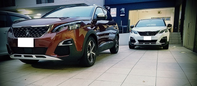 カーディガンが必須です。