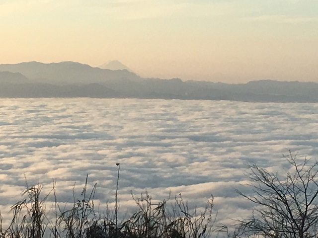 雲海を見に高峰高原へ♪