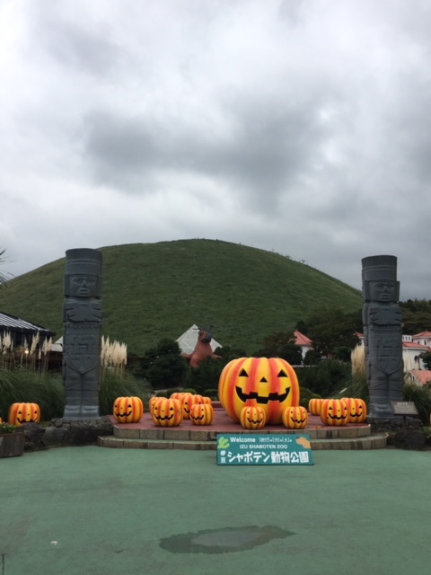 シャボテン動物公園