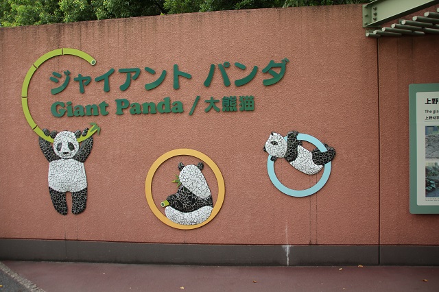 パンダ