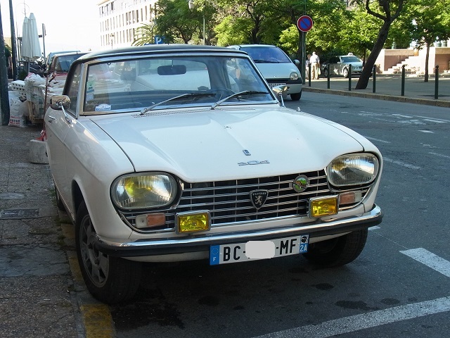 PEUGEOT 204