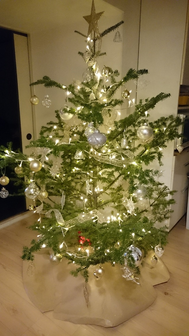 プジョー横浜青葉 クリスマスツリー