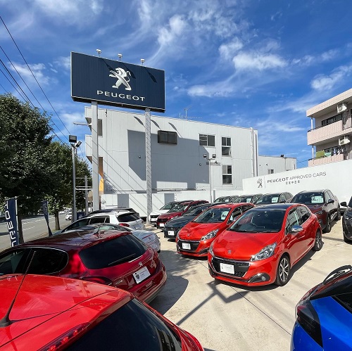 🎃認定中古車　決算フェアのご案内🧙‍♀️