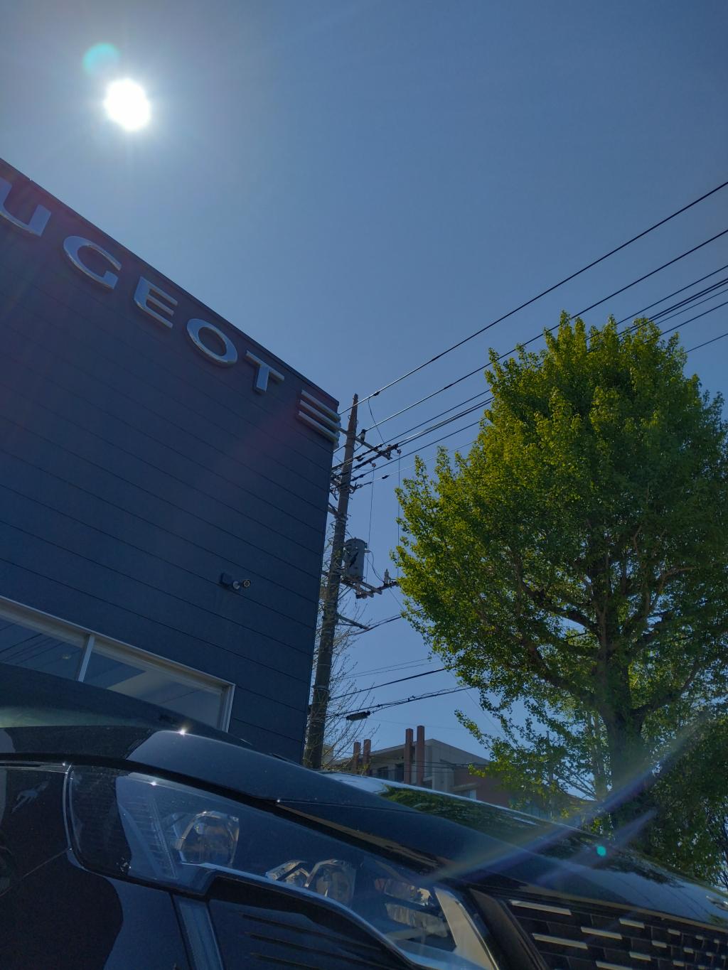 本日も皆様のご来店おまちしております🦁