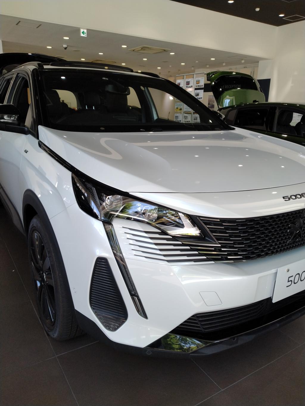 🦁5008　GT　特別仕様車🦁