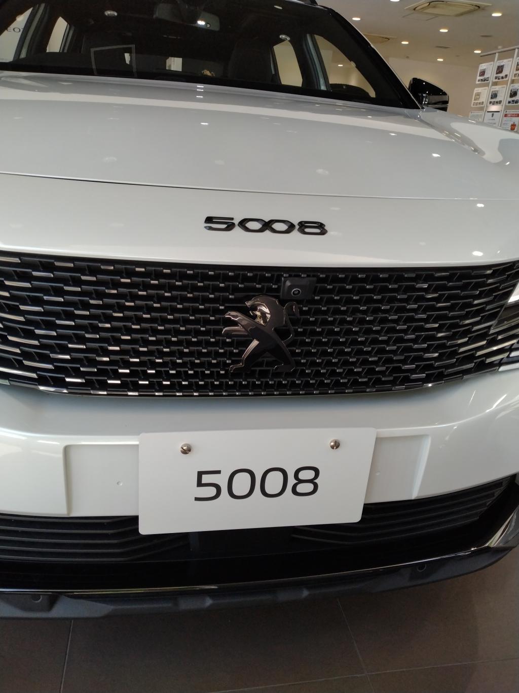 🦁5008　GT　特別仕様車🦁