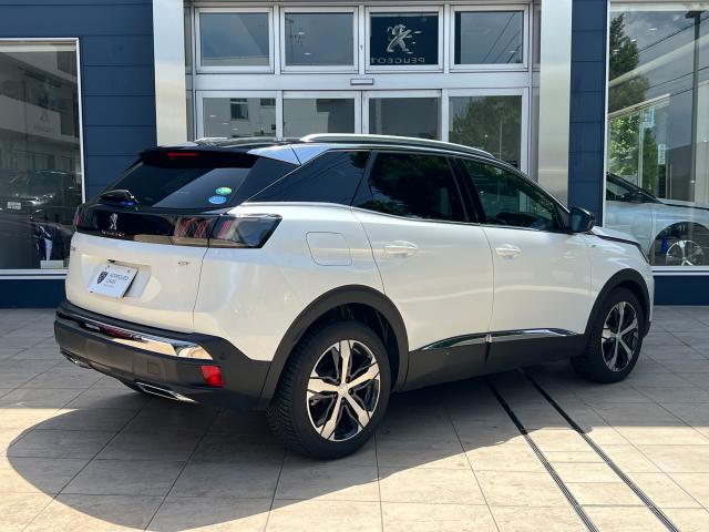 🚗認定中古車情報🚗