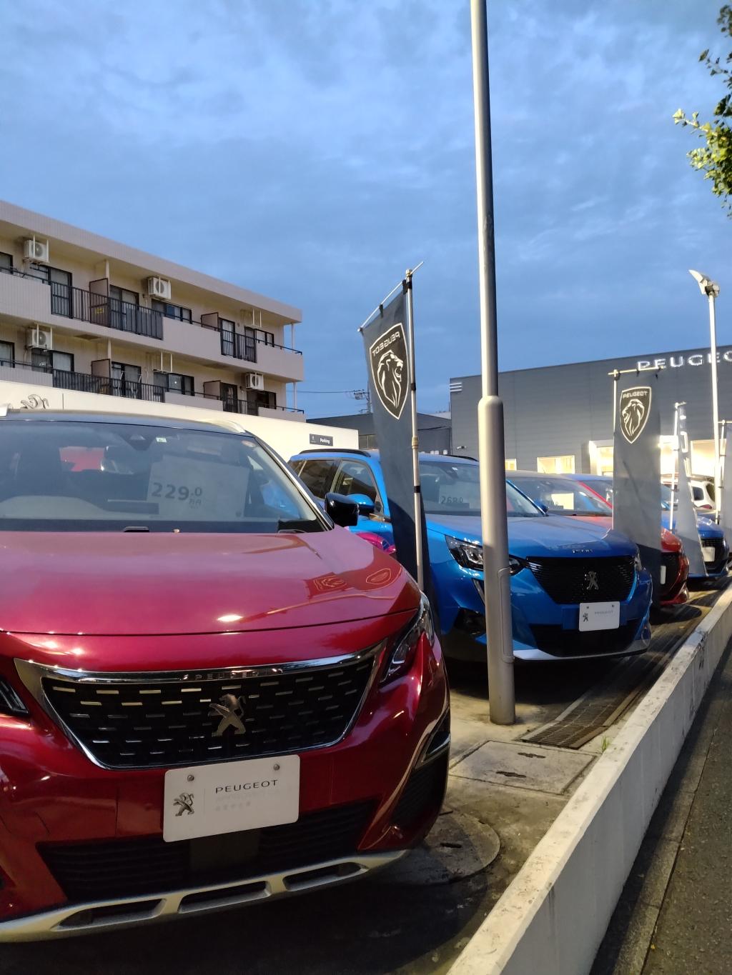 ８月の定休日🦁