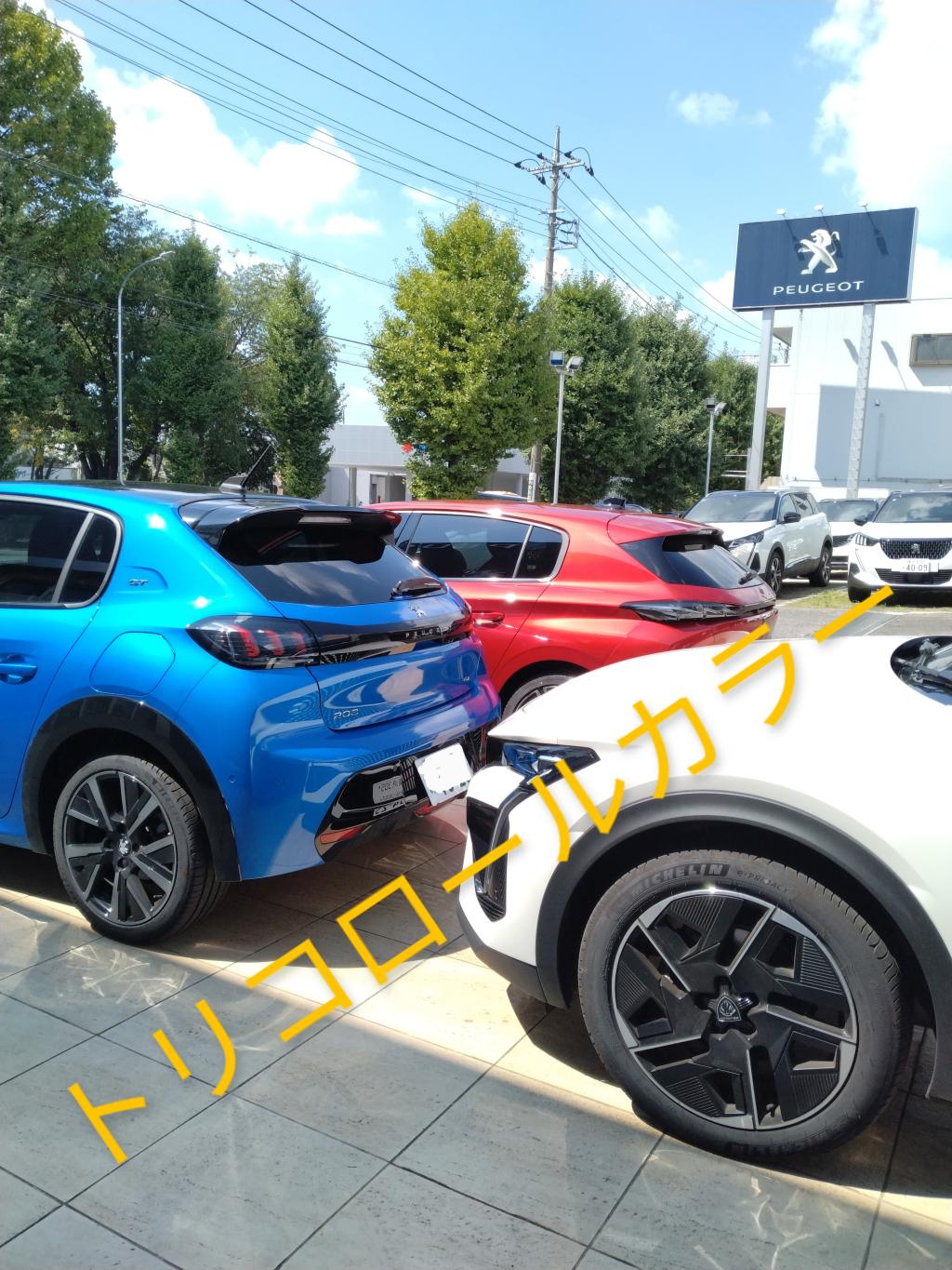 トリコロールカラー🚗