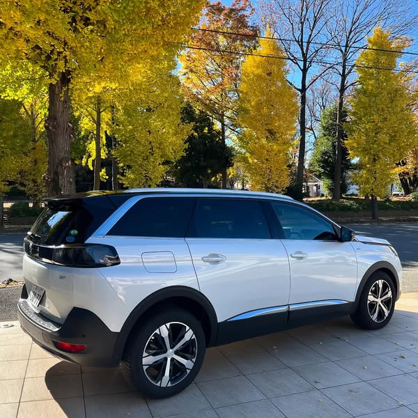 🚘5008GT パールホワイト