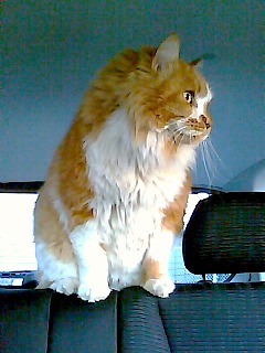 サブキャラクター？！