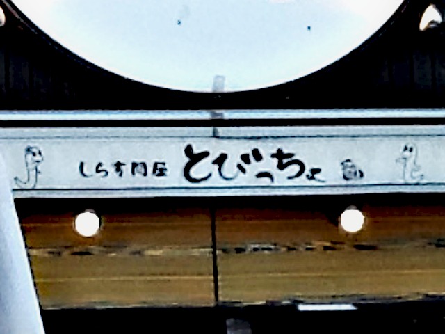 しらすちゃん・・・？？ではありません