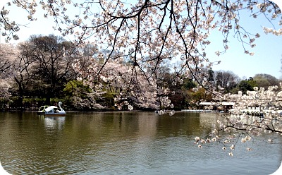 はらドーナッツ