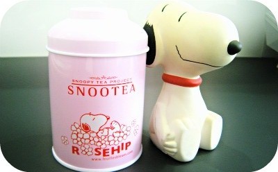 犬 と らいおん のキャンペーン