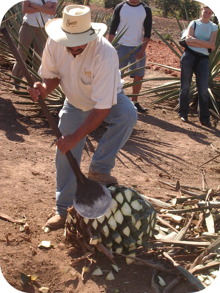 あの頃のワタシ（＾＾）／