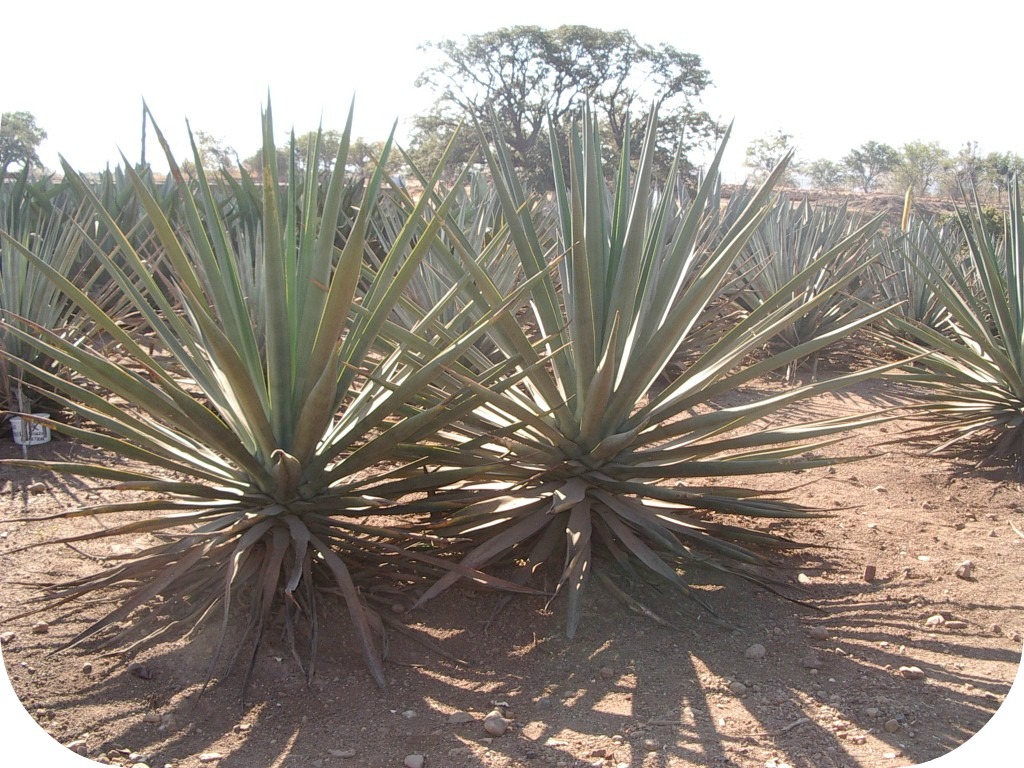 あの頃のワタシ（＾＾）／