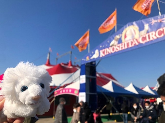 🦁サーカス🎪