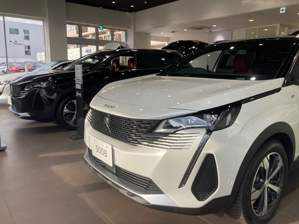 特別仕様車　“Red Nappa”🌹