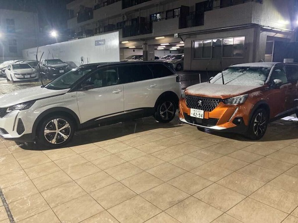 ❄ＳＮＯＷ⛄～LION TASTINGフェア～