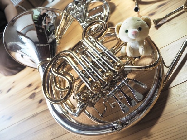 🎵クラシック音楽📯🦁ＬＩＯＮ　ＴＡＳＴＩＮＧ フェア 🍫