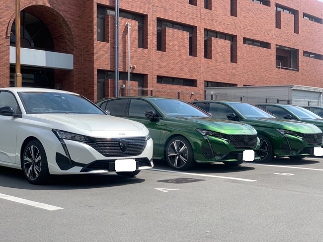 🦁　NEW308 先行内覧会がございました　🦁