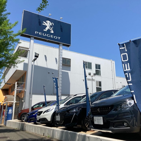 認定中古車情報　更新しました✨