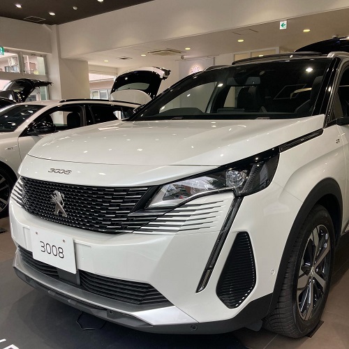 展示車が新しくなりました✨